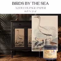 DBP Belles & Whistles - A2 Rice Paper (42x59cm) - Birds by The Sea