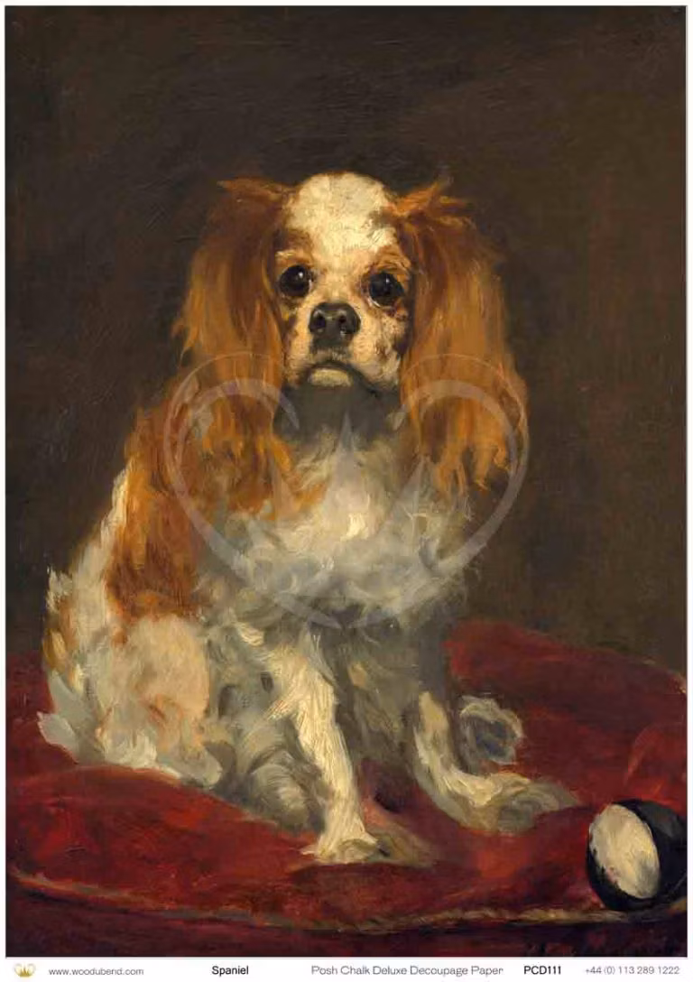 Posh Chalk® - A1 Deluxe Decoupage Paper - Spaniel