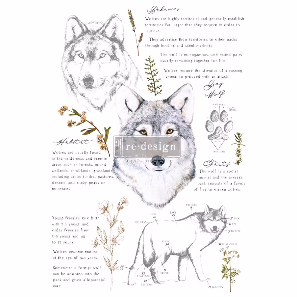 Re Design Décor Transfers® - Gray Woolf ca 61x89cm