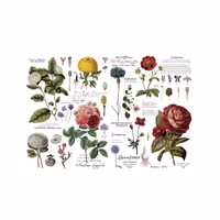 Re Design Décor Transfers® -Vintage Botanical XL ca 89x122cm