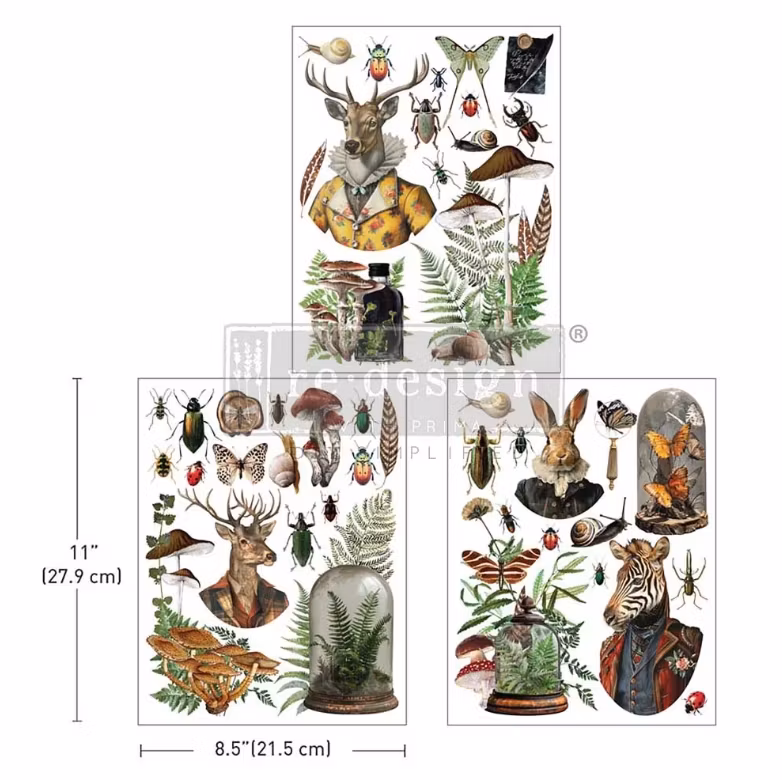 Re Design Décor Transfers® - Ephemera Enclave - A4 (3-pack)