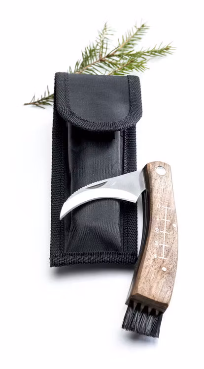 Svampkniv med fodral - Sagaform
