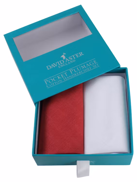 Enfärgade näsdukar 2-p - David Aster
