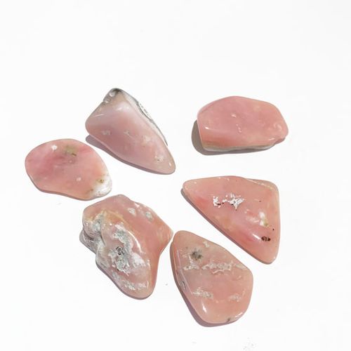 Rosa opal