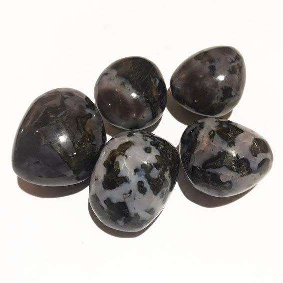 Gabbro / Merlinit
