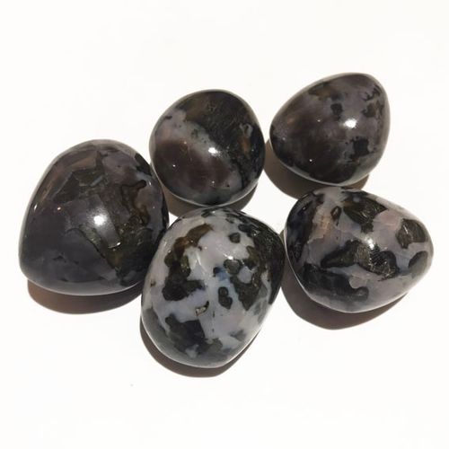 Gabbro / Merlinit