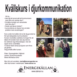 Djurkommunikation Kvällskurs 3 kvällar (datum ej bokat)