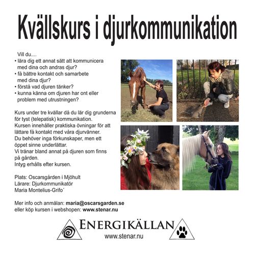Djurkommunikation Kvällskurs 3 kvällar (datum ej bokat)