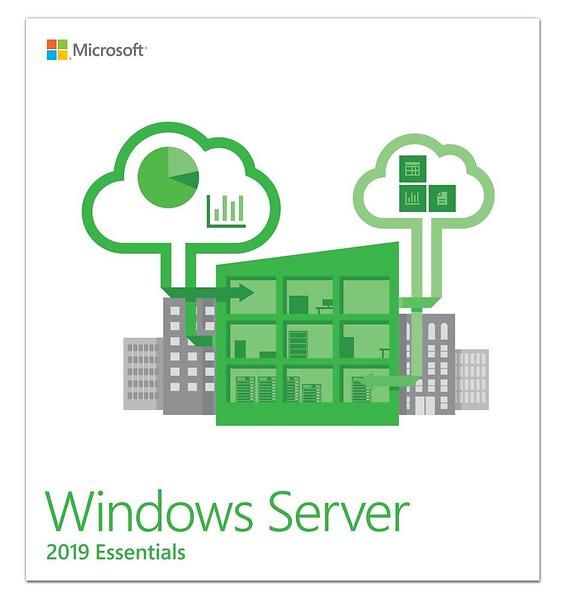 Microsoft Windows Server 2019 Essentials