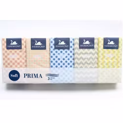 Pappersnäsdukar 10x10 st