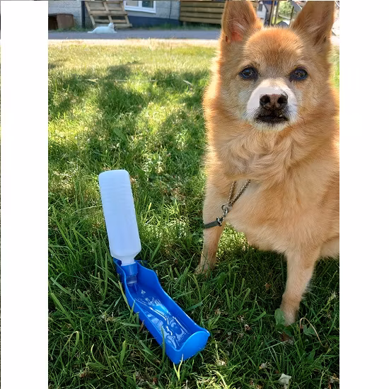 Reseflaska - Vattenflaska till Hund / Husdjur