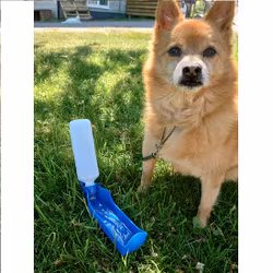Reseflaska - Vattenflaska till Hund / Husdjur