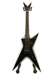 Washburn Stealth