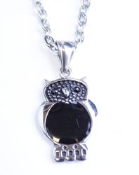 Halsband Small owl