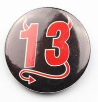 Pin 13