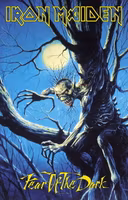 IRON MAIDEN - FEAR OF THE DARK poster flag