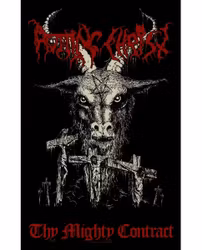 ROTTING CHRIST - THY MIGHTY CONTRACT posterflagga