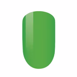 Gellack PMS40 – Anonymity