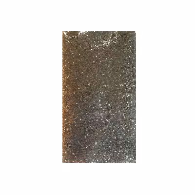 Glitter Powder - Champagne Silver #16 (10 gram)