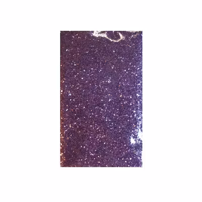 Glitter Powder - Violet Epiphyllum #26 (10 gram)