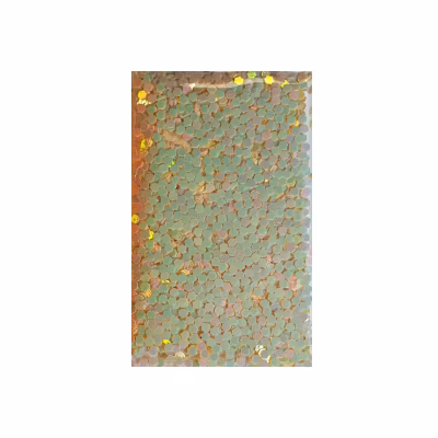 Glitter Powder - Magnificent Light Yellow #90  (10 gram)