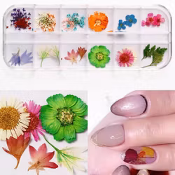 Mixed Dried Flower Nail Deco - Style F