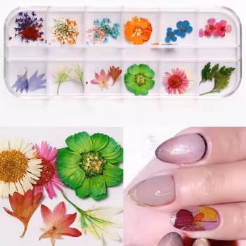 Mixed Dried Flower Nail Deco - Style F
