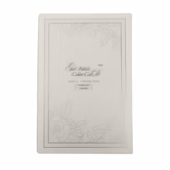 Display Book For Nail Polish - 80 Slots WHITE
