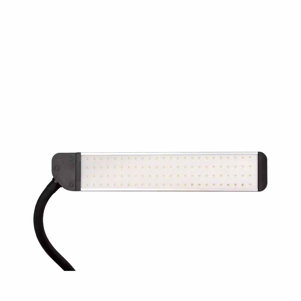 Lash LED Lamp