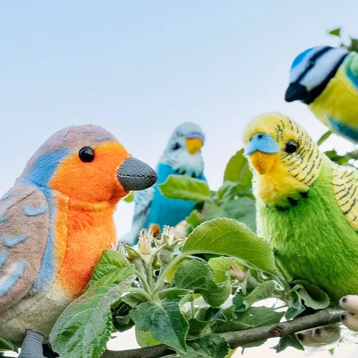 Mjukdjur - Leklyckan