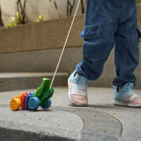 Krokodil regnbågsfärgad - PlanToys - Skadad Förpackning