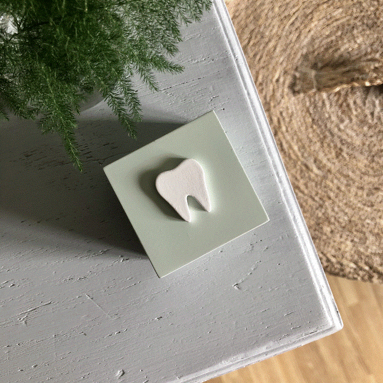 Tandask display mint och rosa skogsvänner