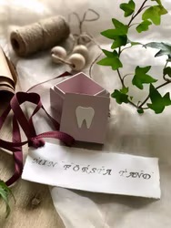 Tandask display mint och rosa skogsvänner