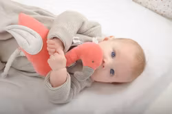 Burr aktivitet Flamingo