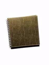 Anteckningsbok guldpärm
