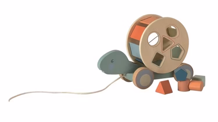 Dragleksak sköldpadda sortering