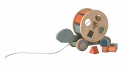 Dragleksak sköldpadda sortering