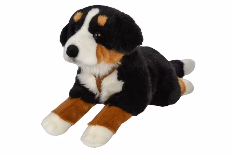 Hund Berner Sennen XL