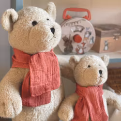 Gaspard björn mjukdjur