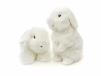 Vädurskaniner 2 olika