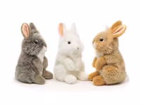 Kanin angora 3 st 20 cm