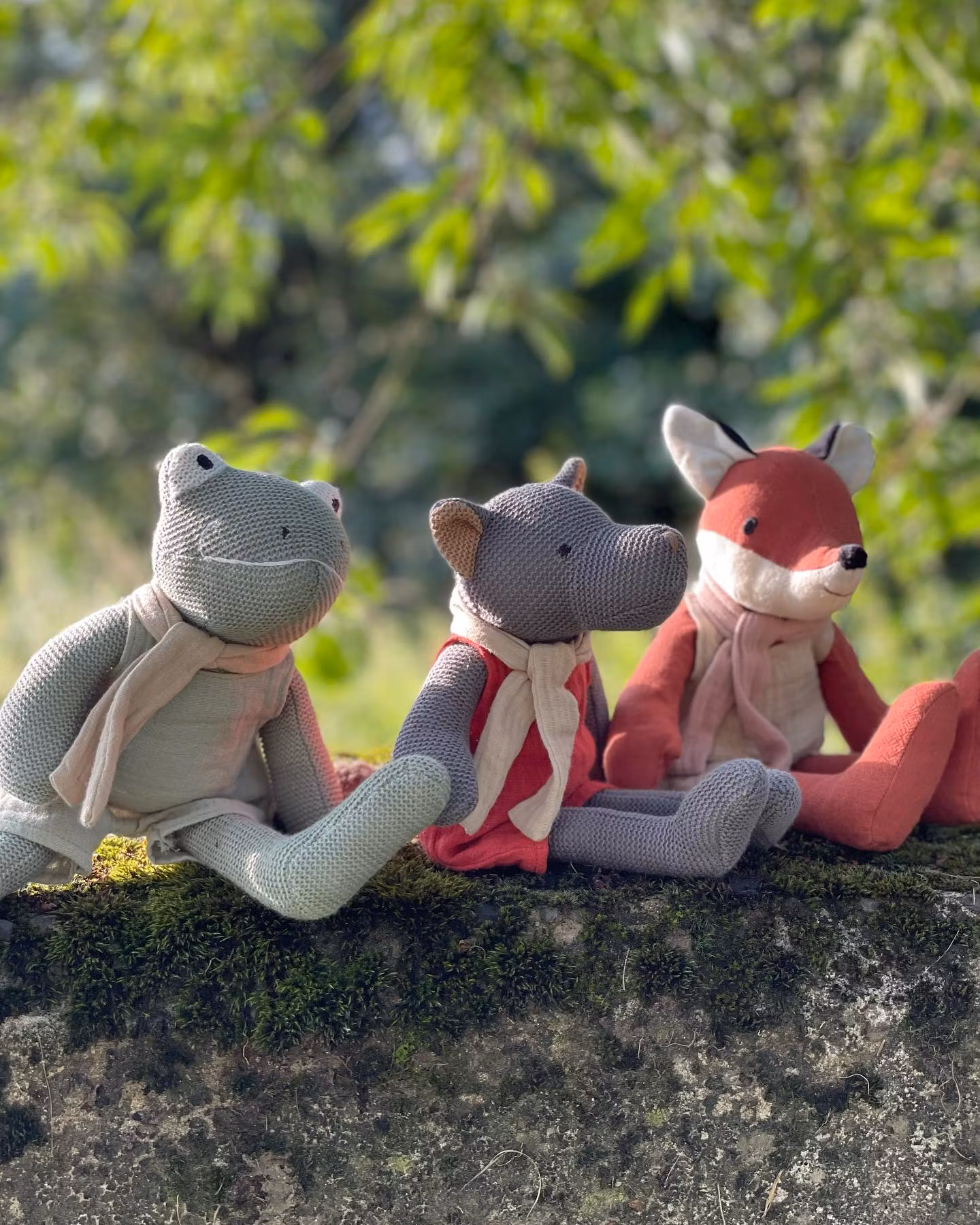 Groda Jeremy mjukdjur skallra