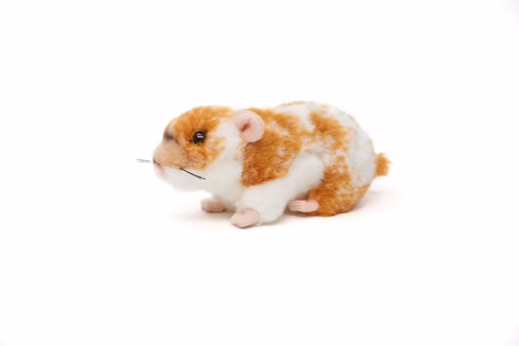 Hamster