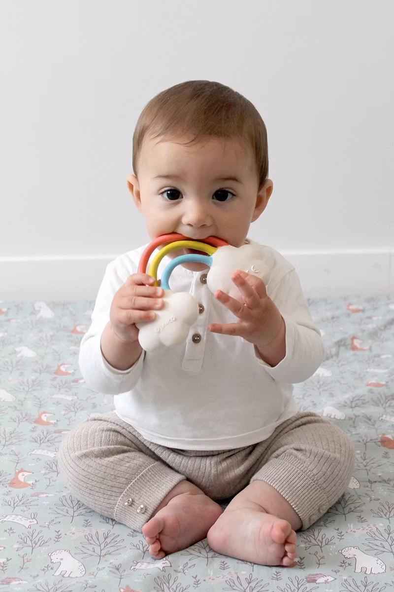 Bitleksak regnbåge eko