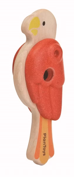 Kastanjett papegoja (K)