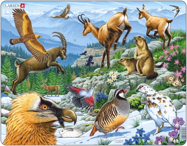 Alpina djur - Larsen