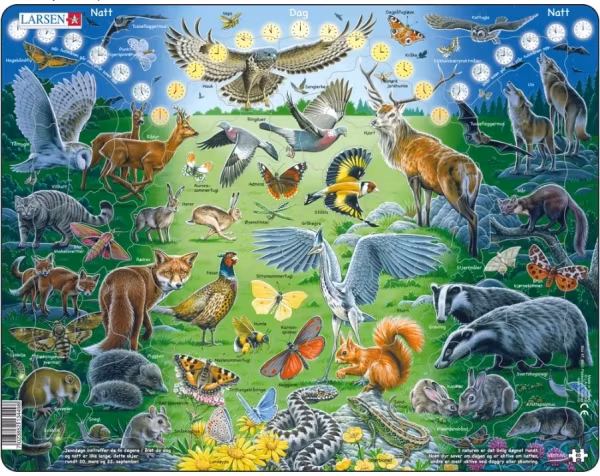 Dag/natt-djur - Larsen