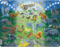 Dag/natt-djur - Larsen