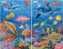 Korallrev - Larsen 2 delar