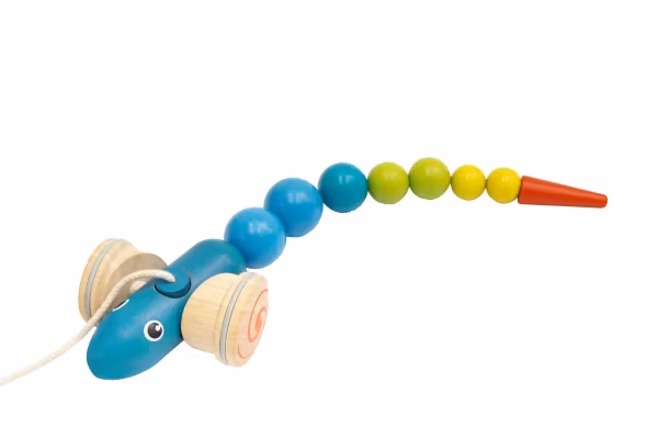 Pull-along Snake New